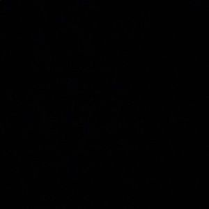 Meet your Posher, Vaughn